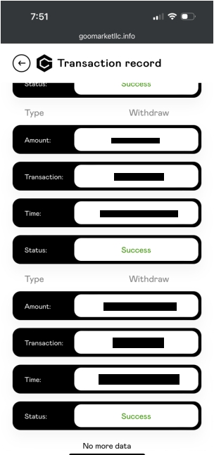 A mobile screen displaying a transaction record with details for multiple withdrawals. Each entry shows type, amount, transaction, time, and status. All statuses marked as 'Success' in green. Header indicates the source as goomarketllc.info.