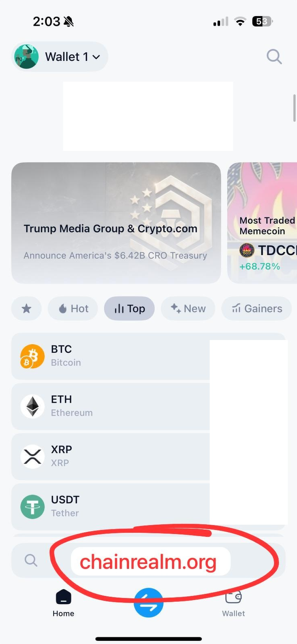 Screenshot of a cryptocurrency wallet app displaying top coins like Bitcoin, Ethereum, and XRP. The site 'chainrealm.org' is highlighted in red.