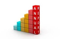 Annual report blocks