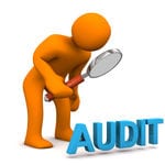 audit icon