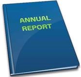 Annual Report icon