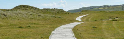 a path around mountains